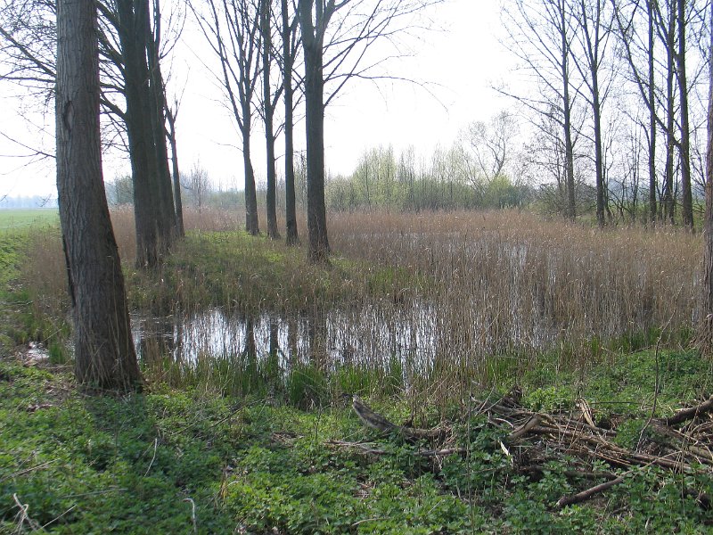 19_DF_68067 Kalkense Meersen - oude Scheldemeander.JPG